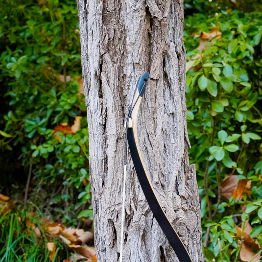 Turkish Bow-Black Queyue